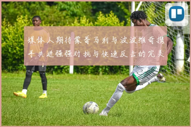 媒体人期待蒙哥马利与波波维奇携手共进强强对抗与快速反击的完美结合
