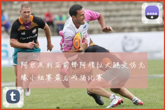 阿尔及利亚前锋阿穆拉大腿受伤无缘小组赛最后两场比赛