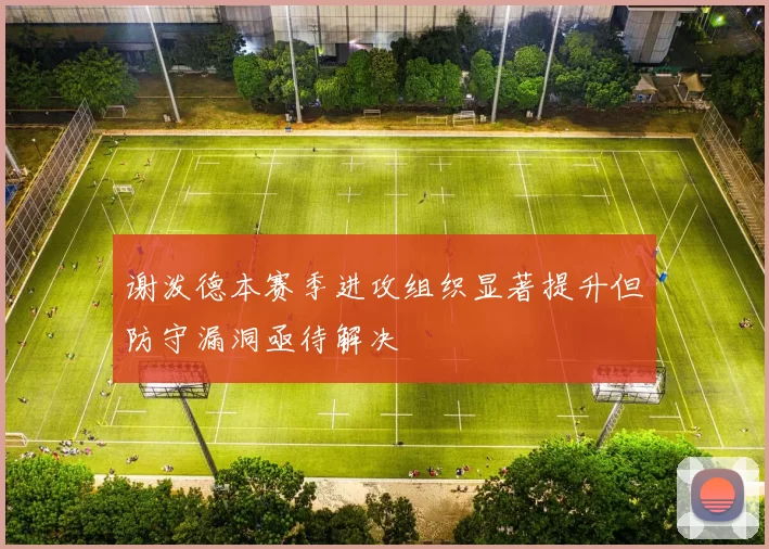 谢泼德本赛季进攻组织显著提升但防守漏洞亟待解决